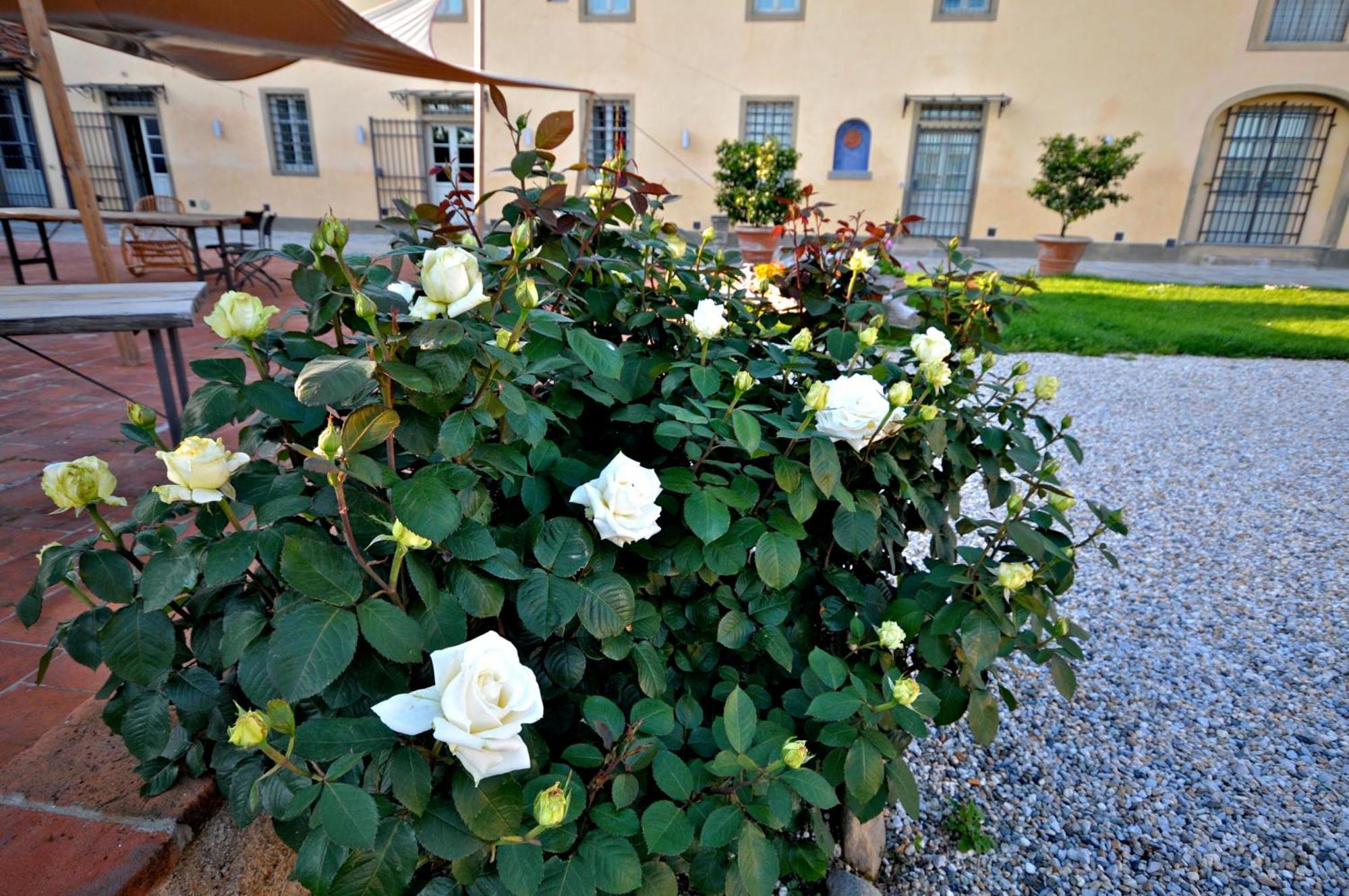Agriturismo San Rocco Pistoia Exterior foto